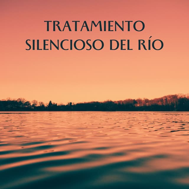 Tratamiento Silencioso Del Río - Camino del agua