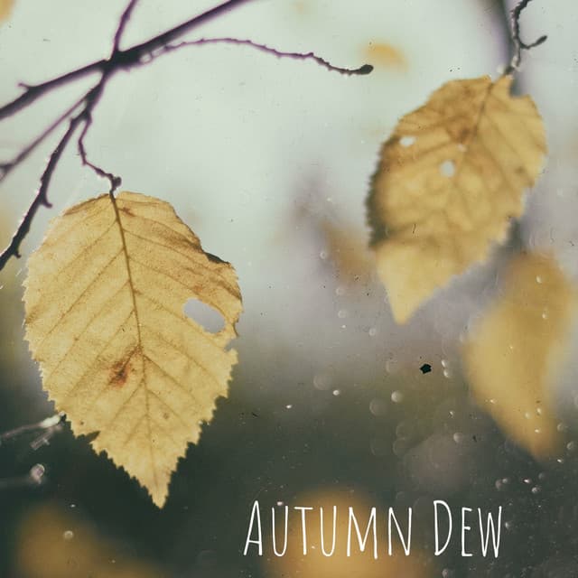 Autumn Dew - Tight Chill Creator