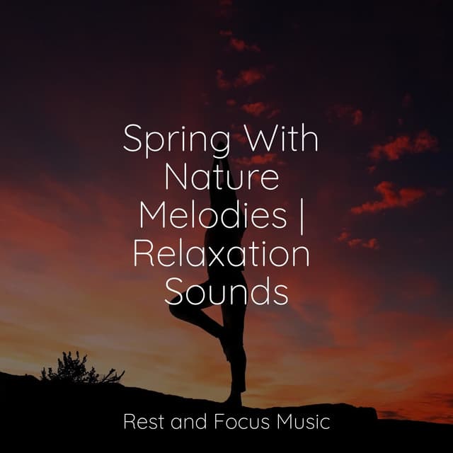 Spring With Nature Melodies | Relaxation Sounds - Deep Relaxation Meditation Academy