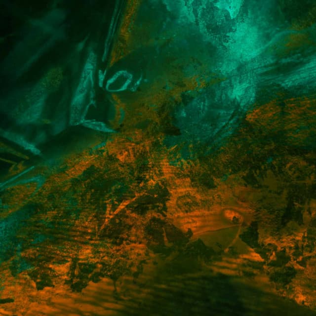 Wicked Jazz Organ - Bgm for Safe Colors - Chill Vibes