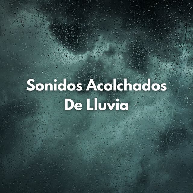 Sonidos Acolchados De Lluvia - Colmena de Lluvia