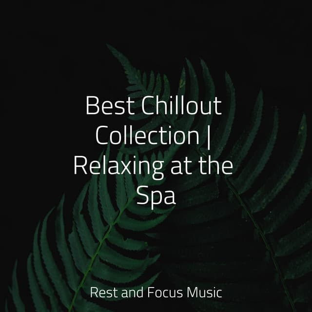 Best Chillout Collection | Relaxing at the Spa - Alpha Waves