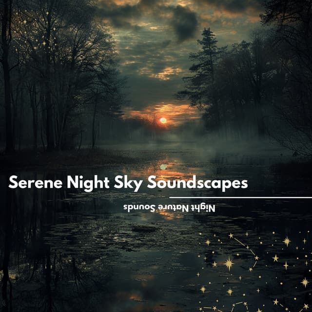 Serene Night Sky Soundscapes - Night Nature Sounds