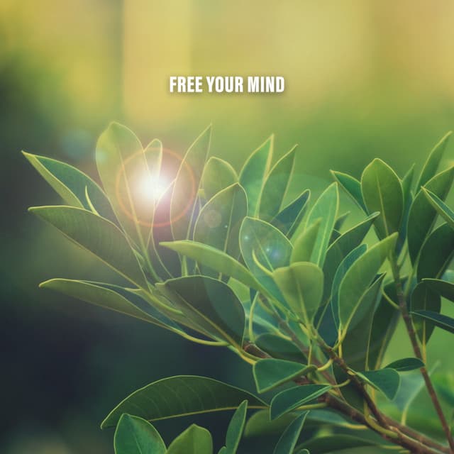 Free Your Mind - Zen Sounds