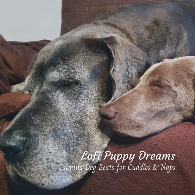 Lofi Puppy Dreams: Calming Dog Beats for Cuddles & Naps - Hip-Hop Lofi Chill