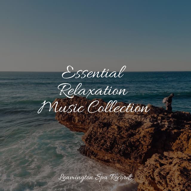 Essential Relaxation Music Collection - Nature's Symphony