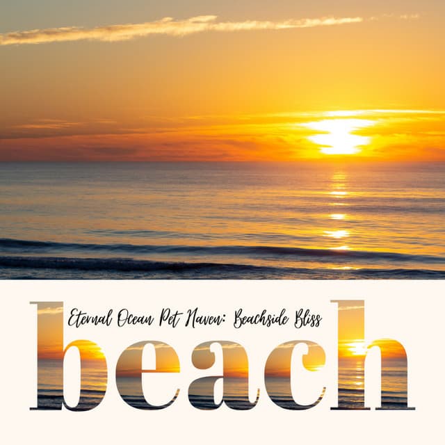 Eternal Ocean Pet Haven: Beachside Bliss - Calm Sea Sounds
