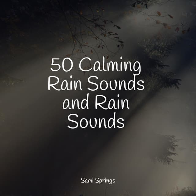 50 Calming Rain Sounds and Rain Sounds - Rain Sounds Factory STHLM