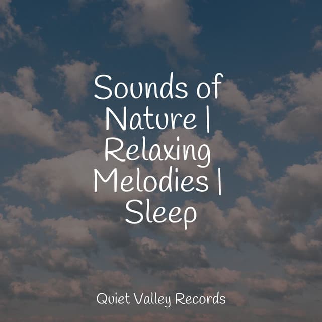 Sounds of Nature | Relaxing Melodies | Sleep - Rest & Relax Nature Sounds