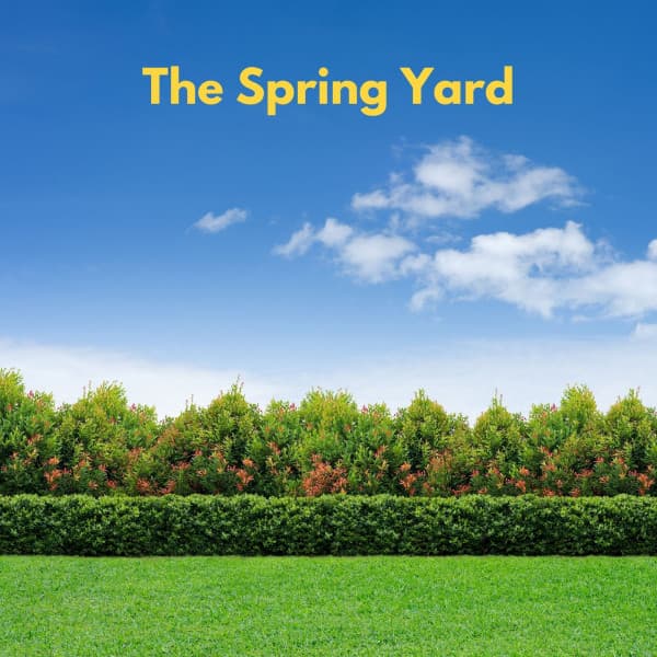 Beverly Hills Walking Trip - Música Tranquila