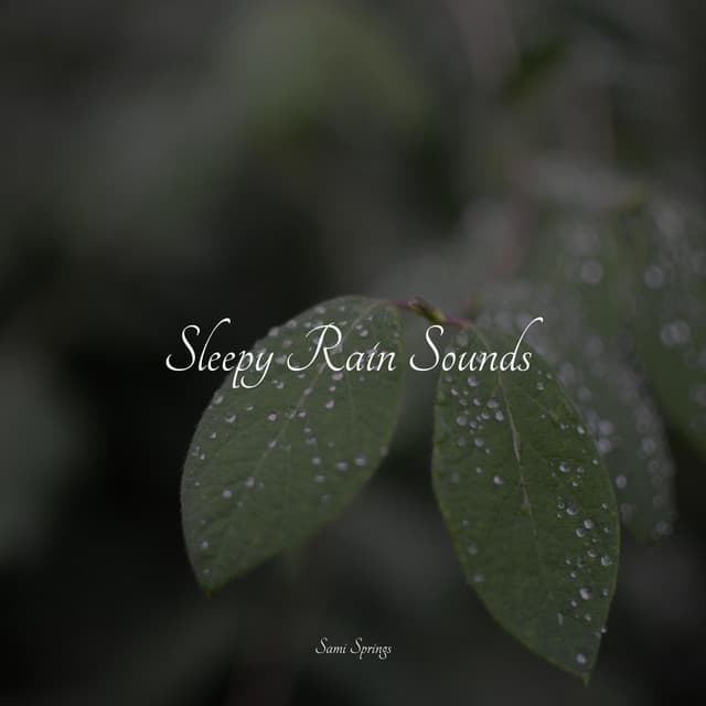 Sleepy Rain Sounds - Especialistas de Musica para Dormir