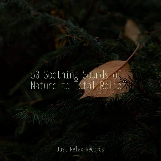 50 Soothing Sounds of Nature to Total Relief - Sonido Del Bosque y Naturaleza