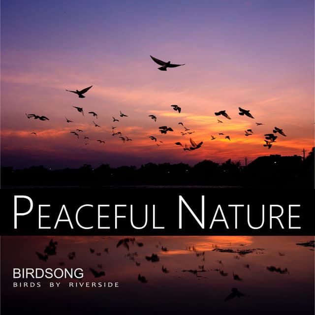Birdsong - Birds by Riverside - Birds Ambient