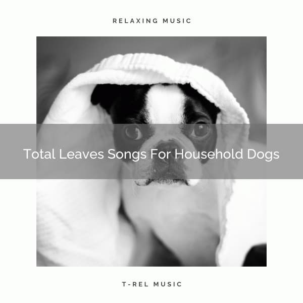 Total Leaves Songs For Household Dogs - Pets Total Relax