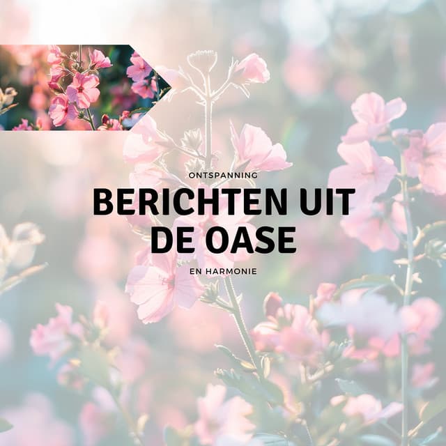 Berichten uit de Oase - Ontspanning en Harmonie