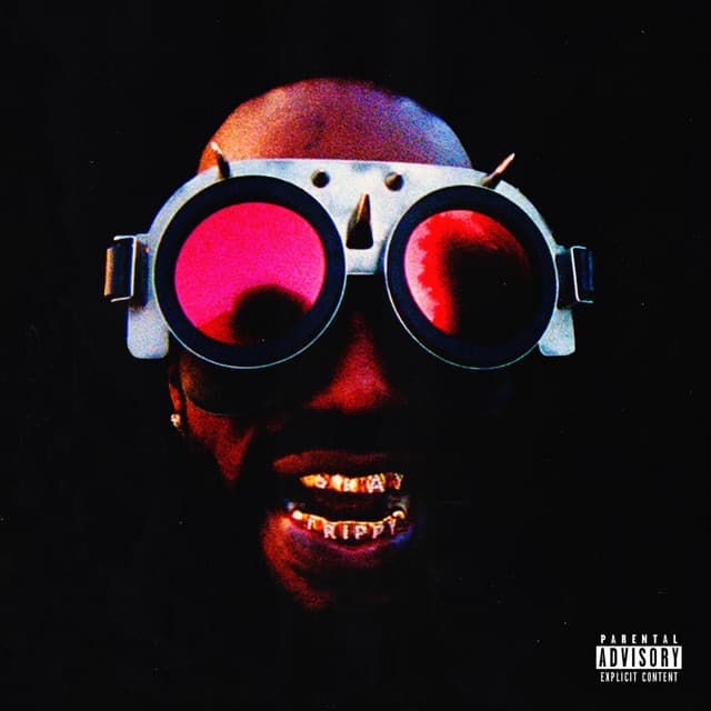 THE HUSTLE CONTINUES - Juicy J