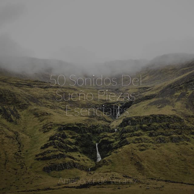 50 Sonidos Del Sueño Piezas Esenciales - Calm Music for Studying