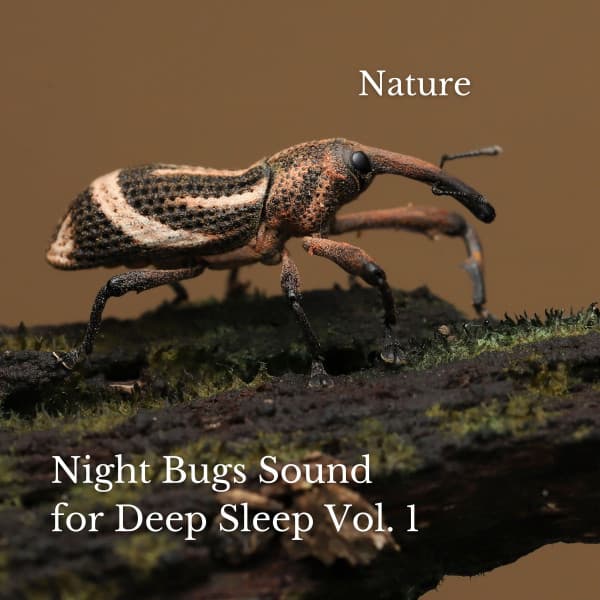 Nature: Night Bugs Sound for Deep Sleep Vol. 1 - The Deep Sleep Music Academy