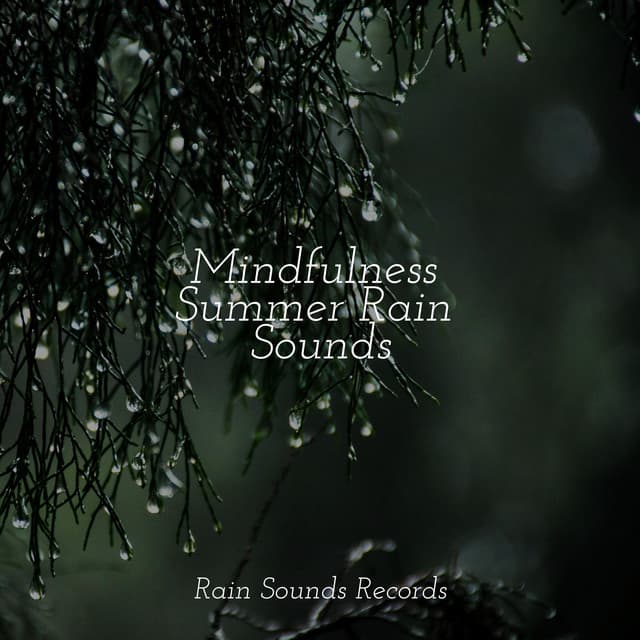 Mindfulness Summer Rain Sounds - Zen Music Garden