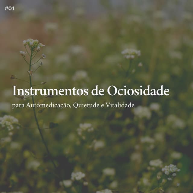 * Instrumentos de Ociosidade para Automedicação, Quietude e Vitalidade * - Relajante Academia de Música Zen