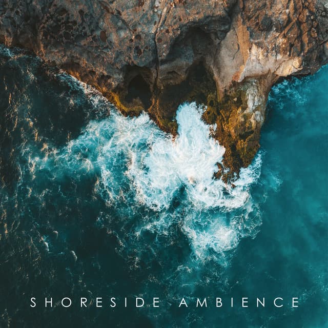 Shoreside Ambience: Sea Waves Sounds, Seagulls Noises, Yoga and Meditation - Calm Sea Ambient