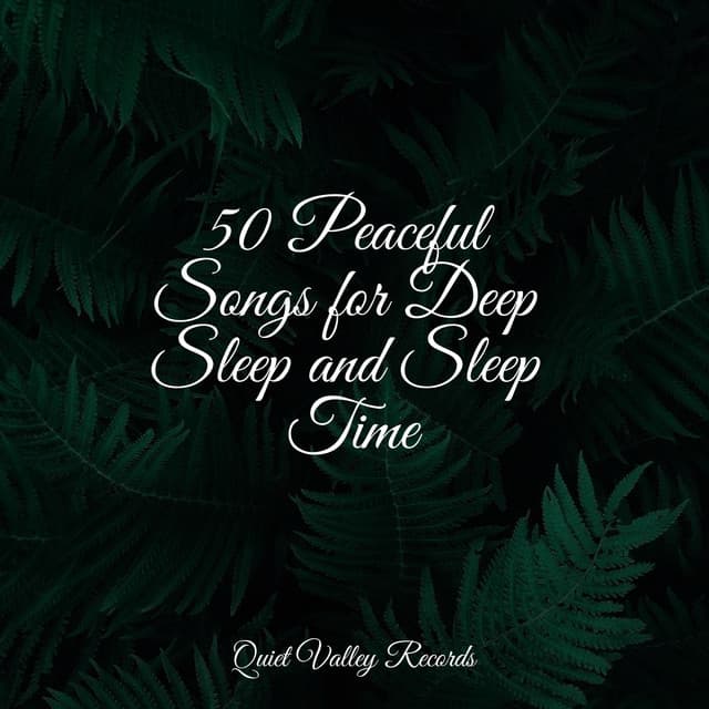 50 Peaceful Songs for Deep Sleep and Sleep Time - Lush Rain Creators
