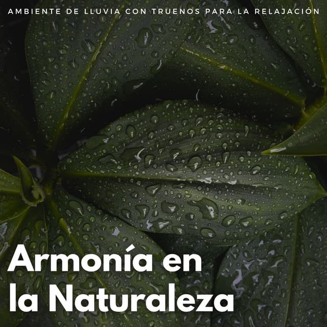 Armonía En La Naturaleza: Ambiente De Lluvia Con Truenos Para La Relajación - Resplandor Lofi