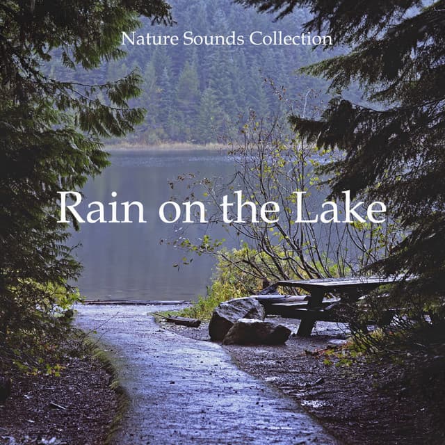 Nature Sounds Collection Rain on the Lake - Rain Sounds & Nature Sounds