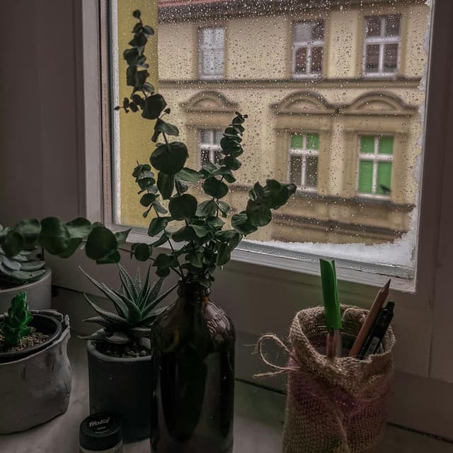 50 Ambient Rains: Coffee And Clouds - Meditation Rain Sounds