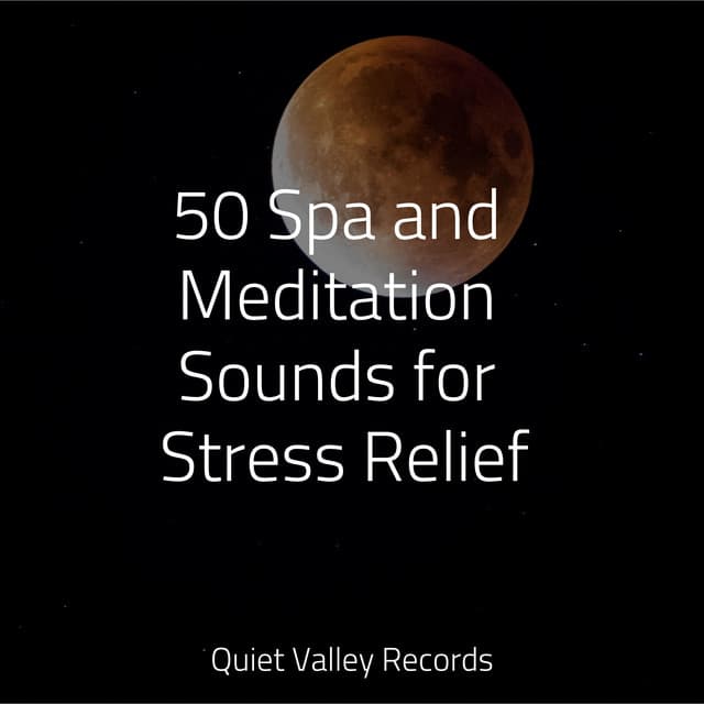 50 Spa and Meditation Sounds for Stress Relief For Dogs - Deep Focus