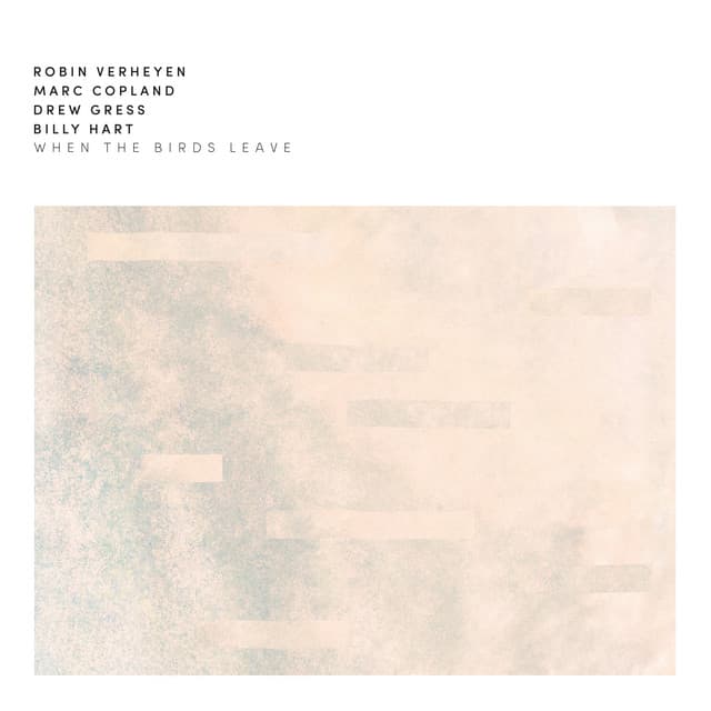 When The Birds Leave - Robin Verheyen
