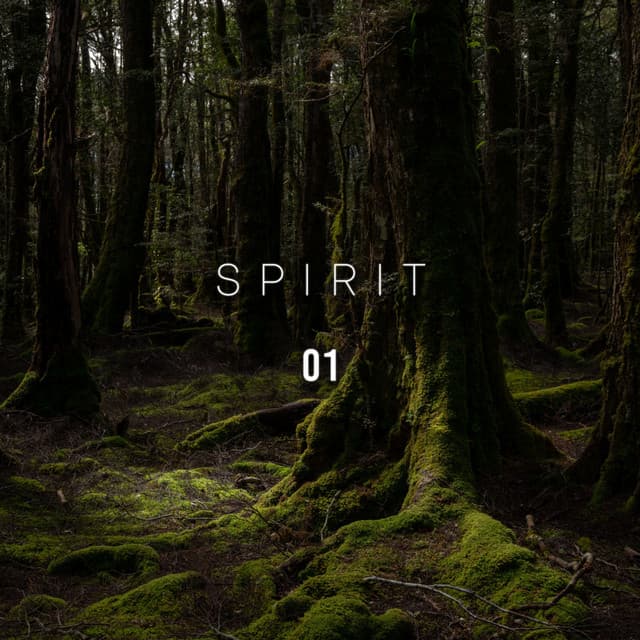 Spirit 01 - Rest & Relax Nature Sounds Artists