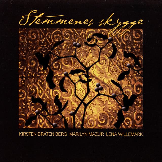 Stemmenes skygge - Kirsten Bråten Berg