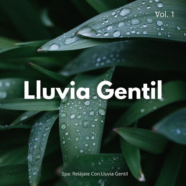 Spa: Relájate Con Lluvia Gentil Vol. 1 - Efectos especiales de sonidos de lluvia