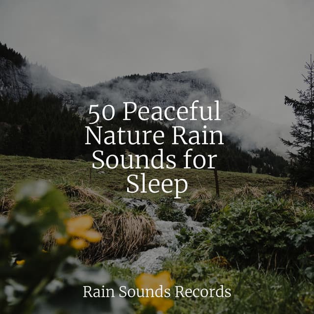 50 Peaceful Nature Rain Sounds for Sleep - Relaxation