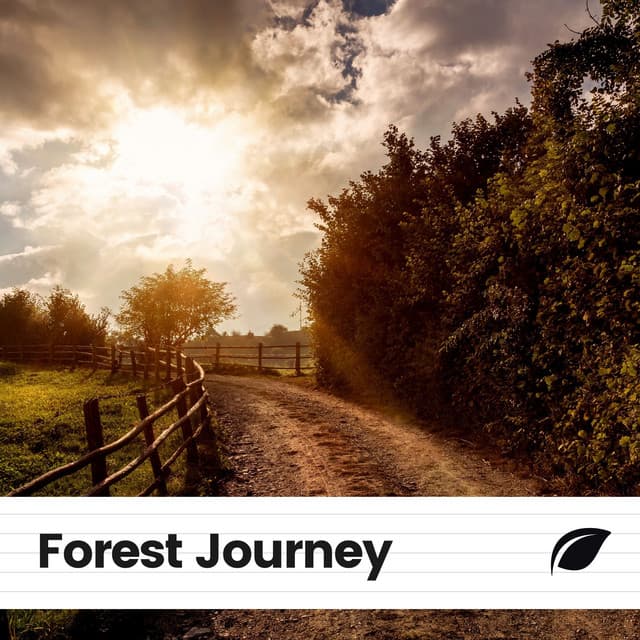 Forest Journey - Soothing Nature Sounds