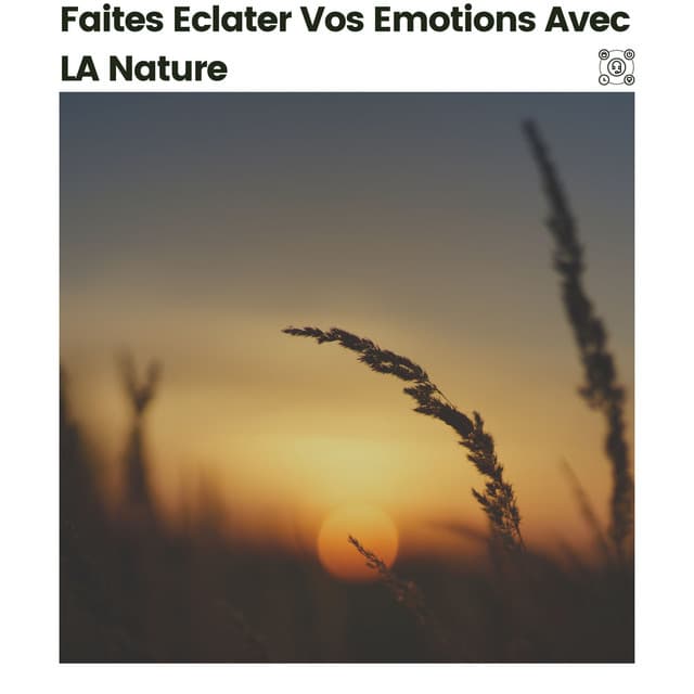 Faites éclater Vos émotions Avec LA Nature - Sons de la nature