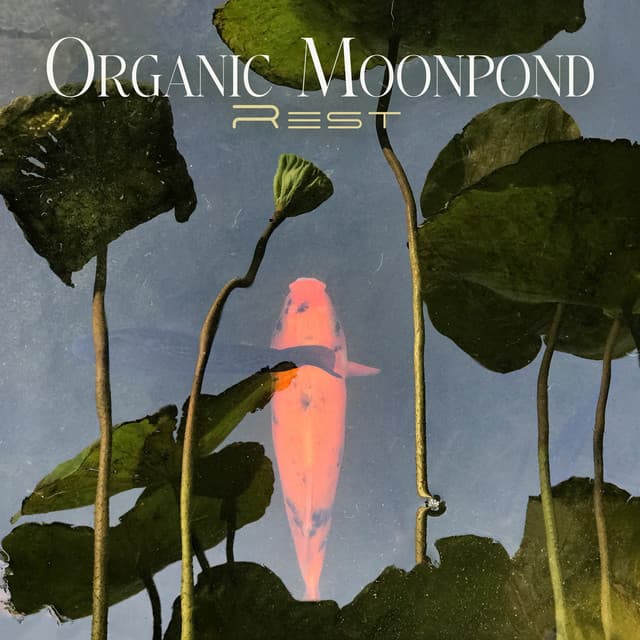 Organic Moonpond Rest - Oriental Spa Sanctuary