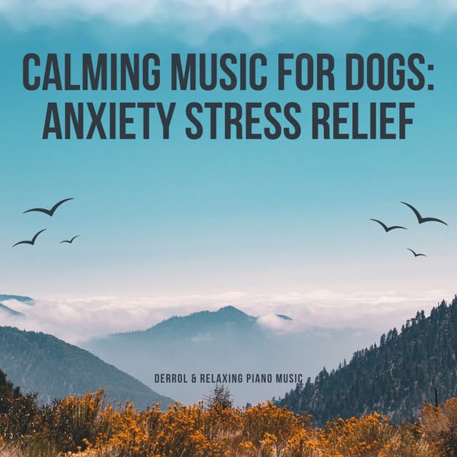 Calming Music For Dogs: Anxiety Stress Relief - Derrol