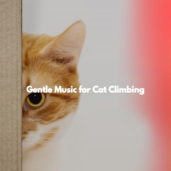 Gentle Music for Cat Climbing - No Words Jazz