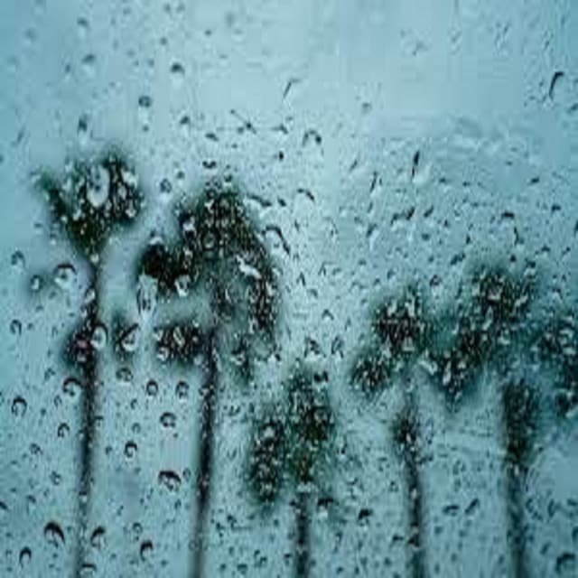 Gentle Rain and Angry Thunder Storms - Baby Nap Time