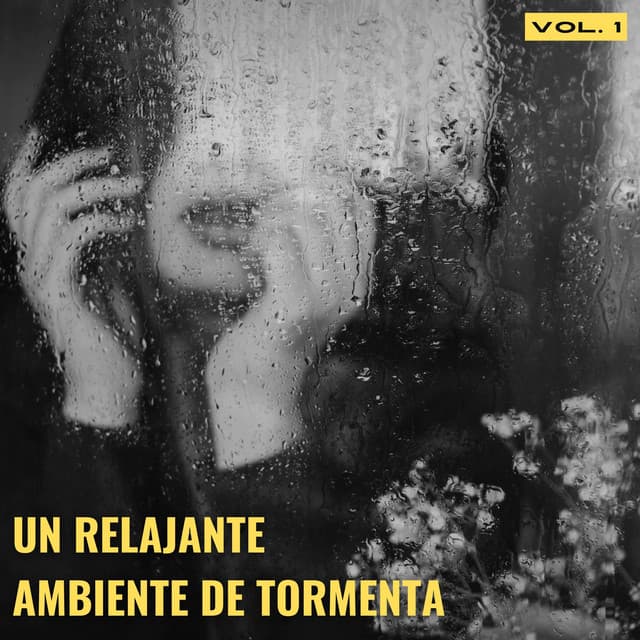 Un Relajante Ambiente De Tormenta Vol. 1 - Sonidos de tormenta de lluvia
