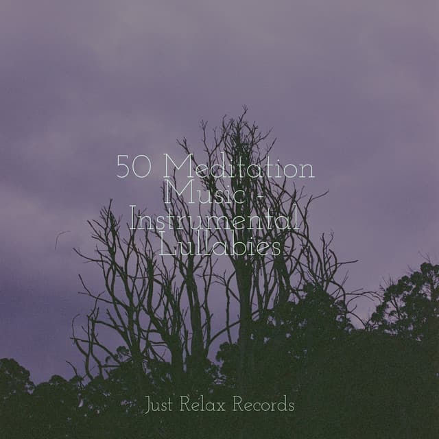 50 Meditation Music - Instrumental Lullabies - Chinese Relaxation and Meditation