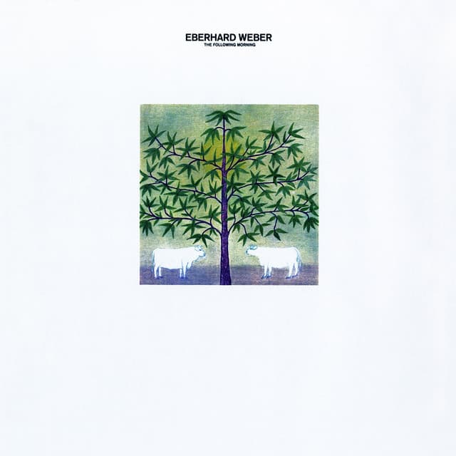 The Following Morning - Eberhard Weber