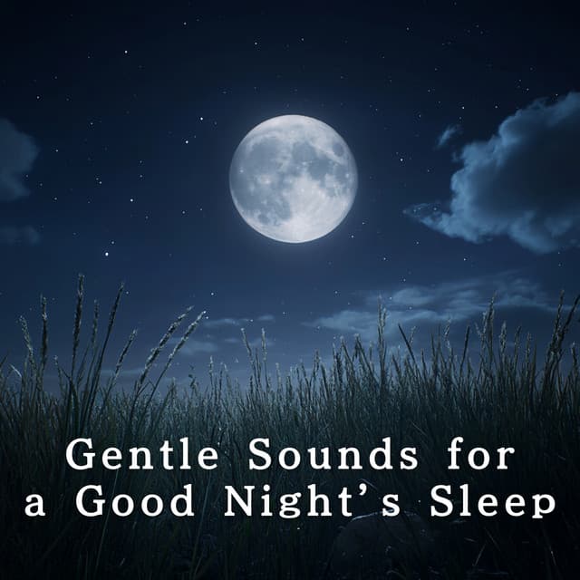 Gentle Sounds for a Good Night’s Sleep - Relaxing BGM Project
