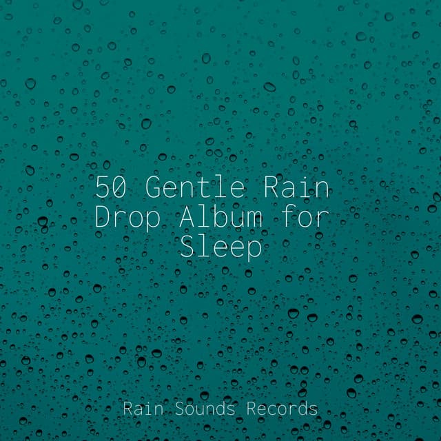 50 Gentle Rain Drop Album for Sleep - Calming Sounds