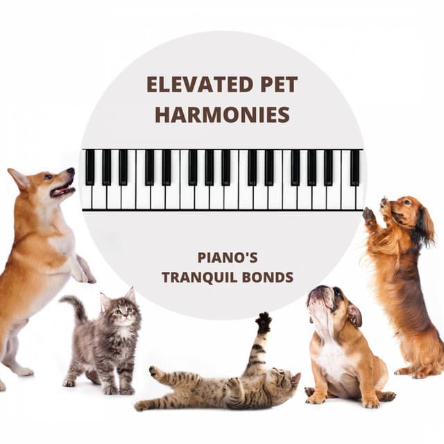 Elevated Pet Harmonies: Piano's Tranquil Bonds - Lucio Belmonte
