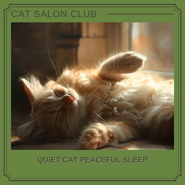 Quiet Cat Peaceful Sleep - Cat Salon Club