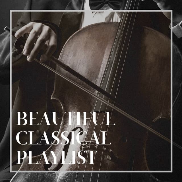 Beautiful Classical Playlist - Piano: Classical Relaxation