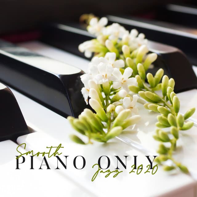 „Smooth Piano Only Jazz 2020” - Nikita Schiff